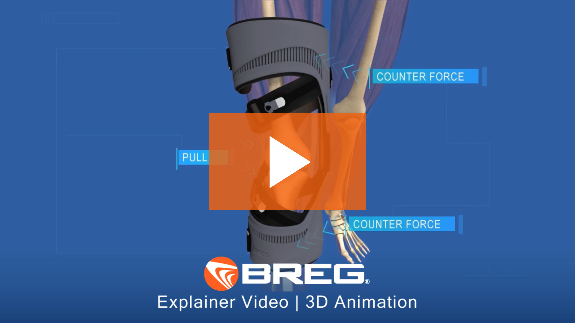 breg animated product explainer video