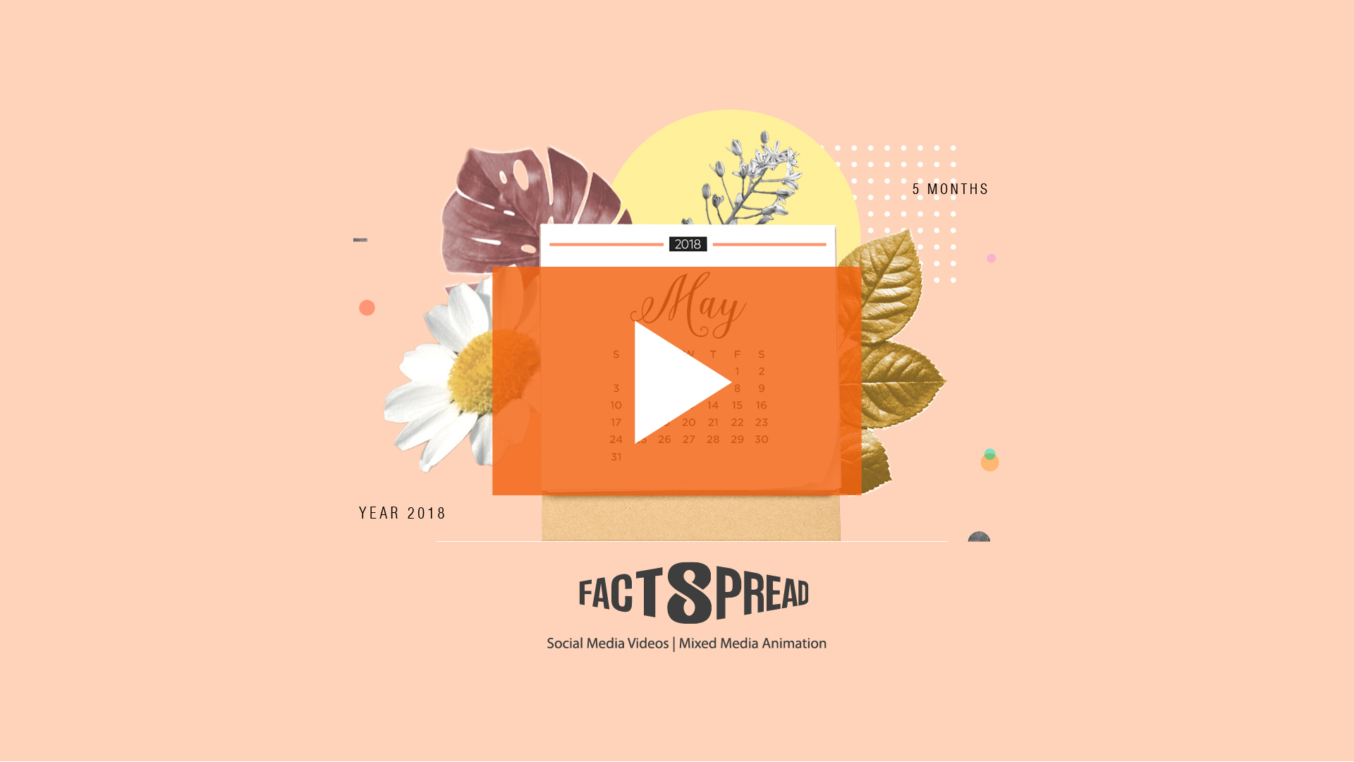 factspread brand commercial video